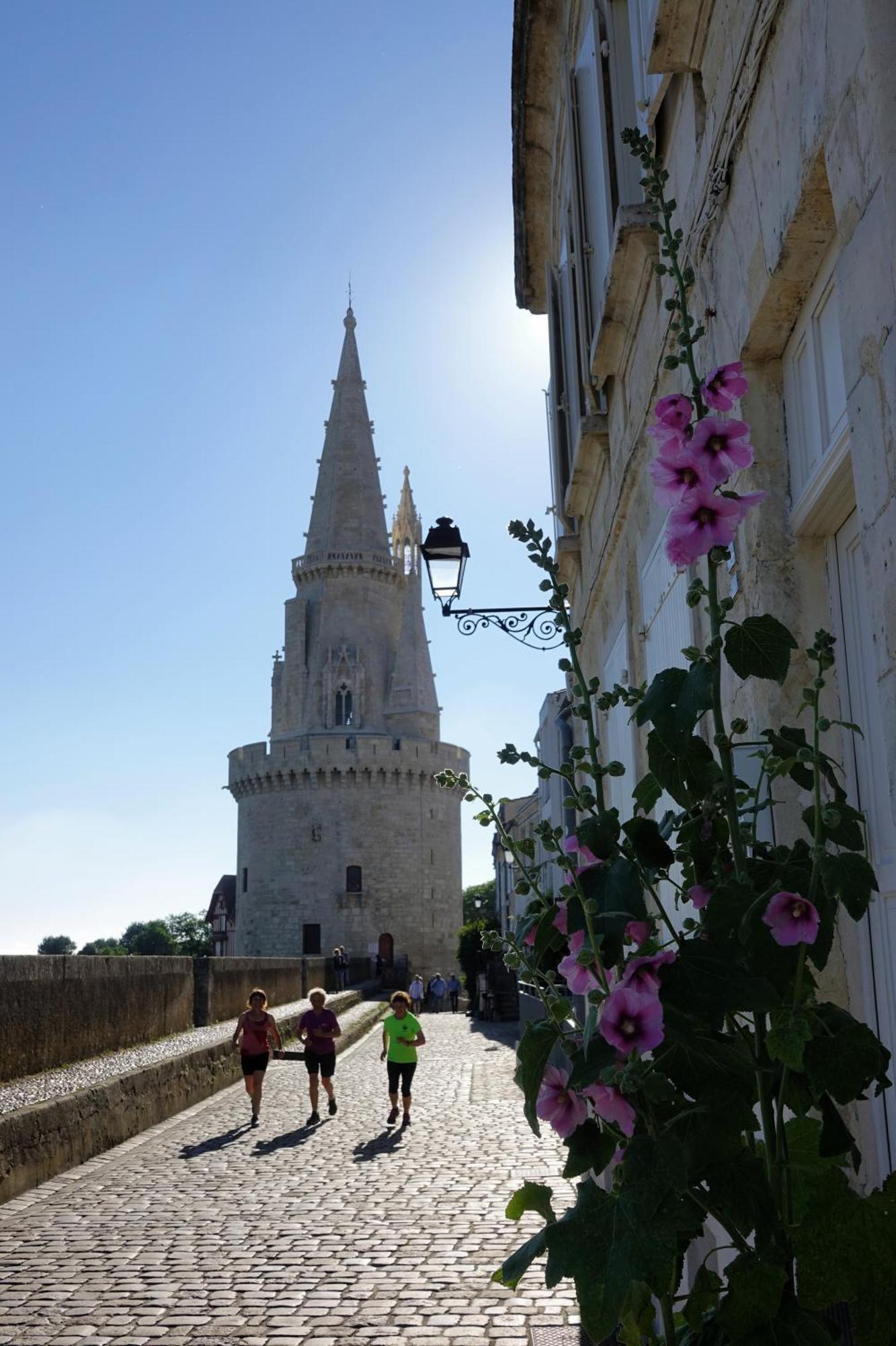 Bed and Breakfast Les Pertuis Rochelais Perigny  Екстер'єр фото